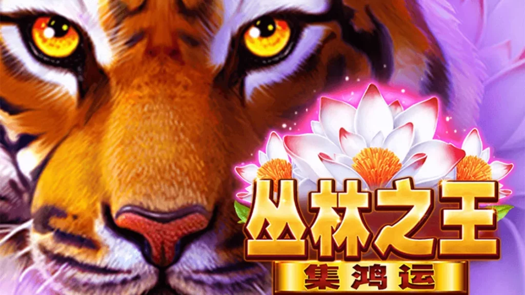【叢林之王老虎機】遊戲詳解｜BNG電子｜熱門遊戲榜單介紹｜TU娛樂城