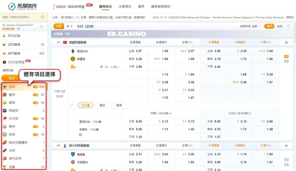 熊貓體育(原OB體育)－如何進行賽事下注？運彩懶人包｜TU娛樂城