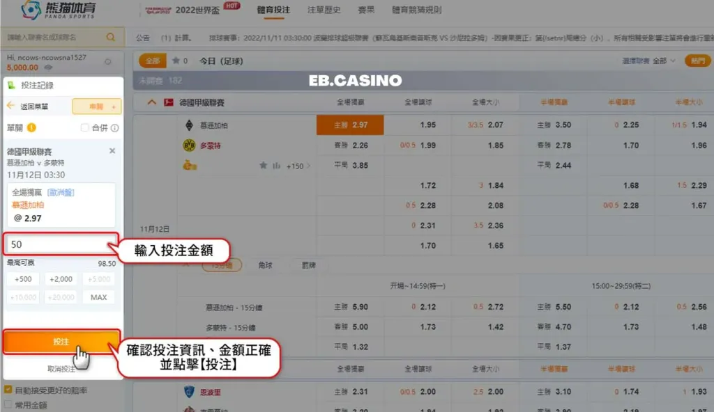 熊貓體育(原OB體育)－如何進行賽事下注？運彩懶人包｜TU娛樂城