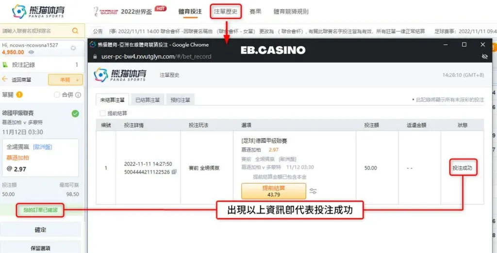 熊貓體育(原OB體育)－如何進行賽事下注？運彩懶人包｜TU娛樂城